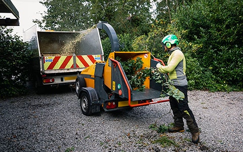 worker putting tree branches through machine