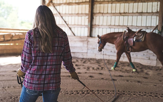 woman training horse on indoor track 